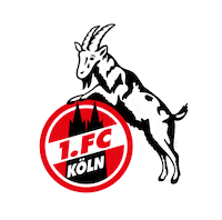 germany football Sticker by Bundesliga
