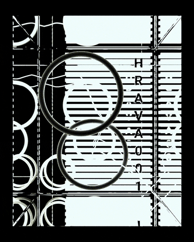 HRA_BERLIN giphyupload GIF