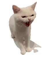 Zzzzoey kami kamicat Sticker