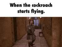 cockroach GIF