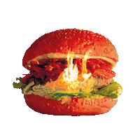 Fire Redhot Sticker by Pasibus