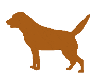 rogueartlab dog excited happy dog labrador Sticker