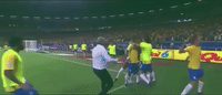 selecao brasileira futebol GIF
