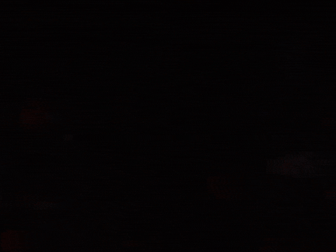 from the ashes portugal GIF by For The Win Esports