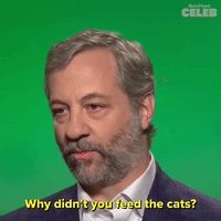 Why Didn't You Feed The Cats?