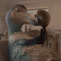 Hold Up GIF by Dodo Australia