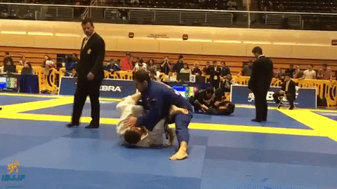 TFSMatt giphygifmaker GIF