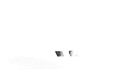 art cat GIF by Eno Swinnen