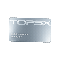 Choi Seunghyun Top Sticker