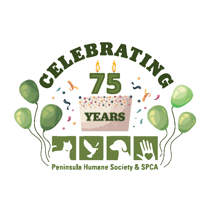 Celebrate Humane Society Sticker by Peninsula Humane Society & SPCA