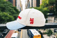 Awesome Head GIF by VeeFriends