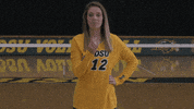 Volleyball Bison GIF by NDSU Athletics