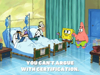 season 6 GIF by SpongeBob SquarePants