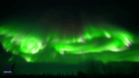 Alaska Aurora Borealis GIF by Storyful