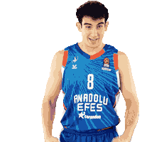 Sport Basketball Sticker by Anadolu Efes SK