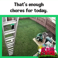no more i give up GIF by You've Been Framed!