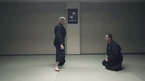 martial arts ninja GIF by AKBAN Academy