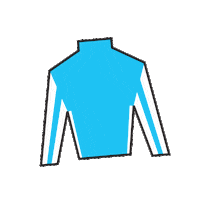 Horse Racing Sticker by Kentucky Derby