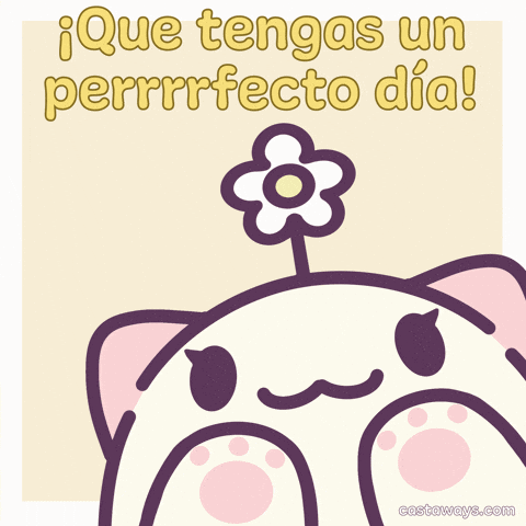 Cat Morning GIF by Castaways