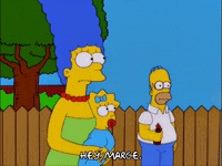 homer simpson episode 10 GIF