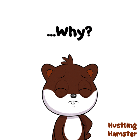 Hustling Why Me GIF by VeeFriends