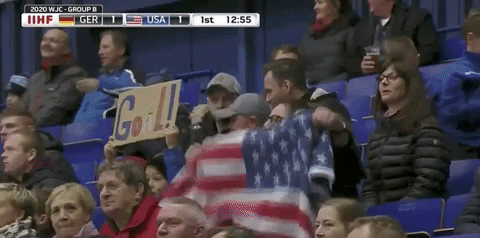 Ice Hockey Celebration GIF by USA Hockey