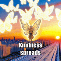 Joy Wisdom GIF by BuddhaFlyJourney
