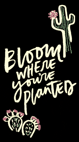 Jamie_Ivey bloom youbeyou jamie ivey jamieivey GIF