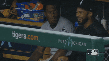Major League Baseball Sport GIF by MLB