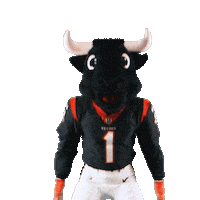 Get Loud Football Sticker by Houston Texans