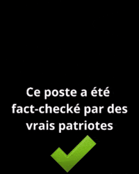 briganddubocage jordan bardella fact checking patriote bardella GIF