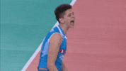 Celebration Joy GIF by Volleyball World