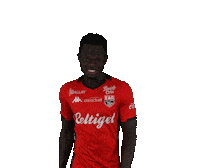 Ligue 2 Football Sticker by EA Guingamp