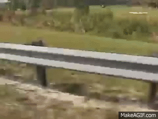i dont give a fuck GIF