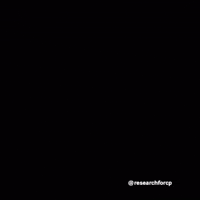 Movement Wheelchair GIF by Cerebral Palsy Alliance Research Foundation