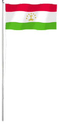 Flag Tj Sticker by SHEDEVR