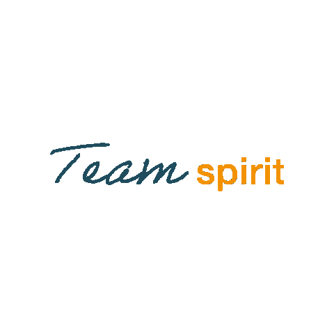 TestoIndustrialServices giphygifmaker team teamspirit tis Sticker