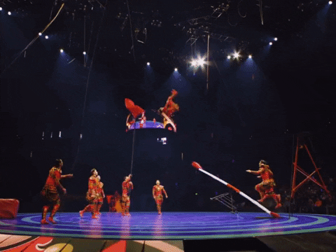 The Greatest Show Performance GIF by Ringling Bros. and Barnum & Bailey