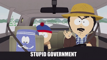 Stupid Government