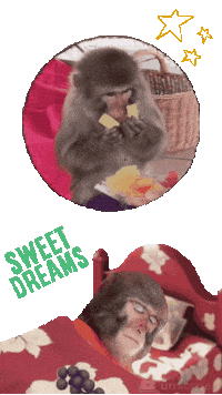 Good Night Fun Sticker