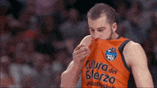 liga endesa basketball GIF by ACB