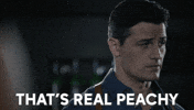 Agents Of Shield Marvel GIF by ABC Network