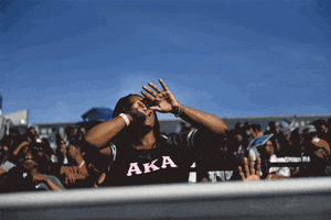 Alpha Kappa Alpha Dancing GIF by The Undefeated