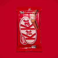 kitkat GIF