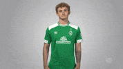 Football GIF by Bundesliga