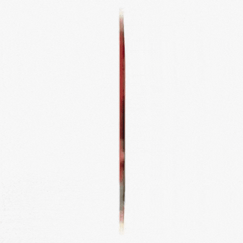 Photographer Lollapalooza GIF by Respective