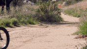 avatari puppet bmx get it youre awesome GIF