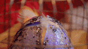 avatari puppet pissed rude hangry GIF