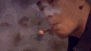 Year Of The Dragon Bcsc GIF
