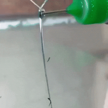 gavi0309 giphyupload GIF